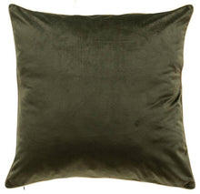 Load image into Gallery viewer, Noah Green/Gold Pillow
