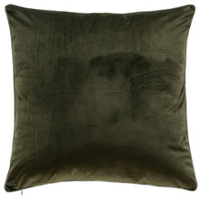 Load image into Gallery viewer, Noah Green/Silver Pillow
